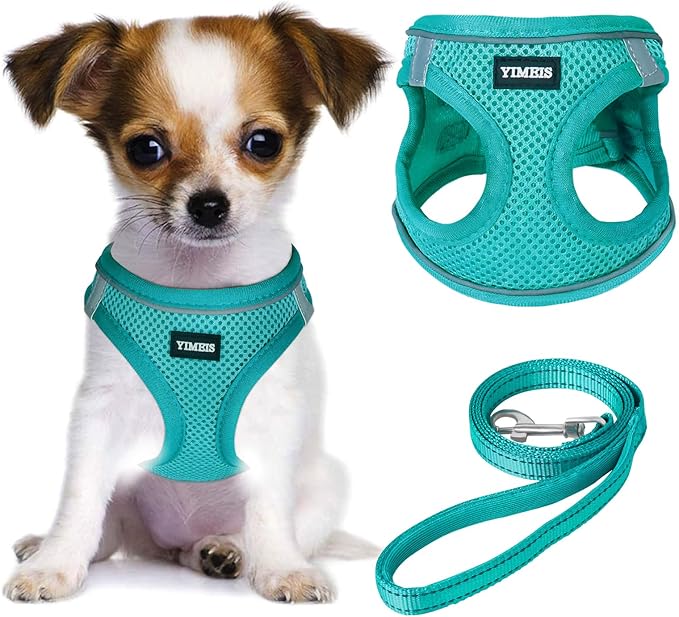 YIMEIS Dog Harness and Leash Set, No Pull Soft Mesh Pet Harness, Reflective Adjustable Puppy Vest for Small Medium Large Dogs, Cats (Turquoise, X-Small (Pack of 1)