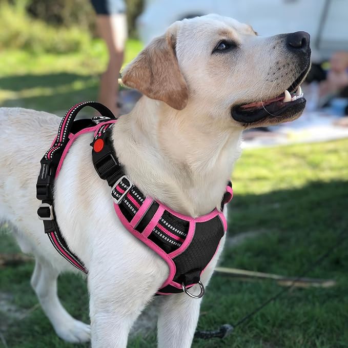 rabbitgoo Dog Harness for Large Dogs, No Pull Pet Vest with 3 Buckles, Adjustable Soft Padded Pet Harness with Easy Control Handle and Reflective Strips, Black & Rose Pink, L