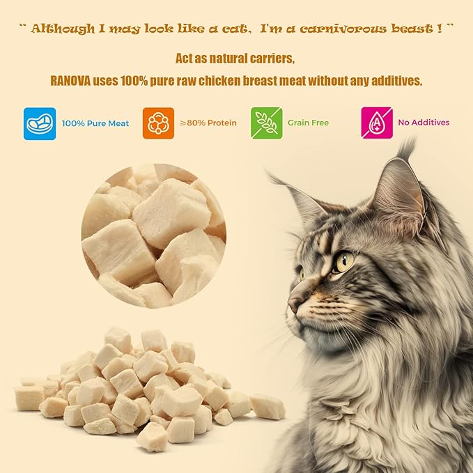 Freeze Dried Cat Treats - 100% Chicken Breast Grain Free Raw - Natural Balance Limited Ingredient High Protein Cat Snacks 140g/4.94oz - Picky Eater Challenger