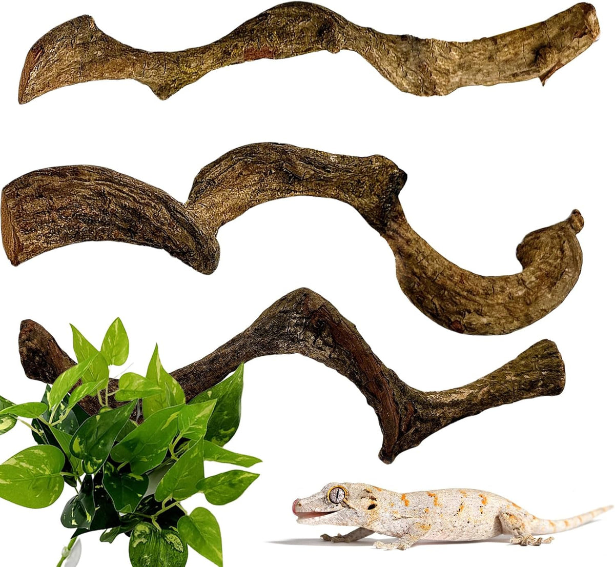 BNOSDM 3 Pcs Reptile Climbing Branches Decor,Snake Climbing Branch,Gecko Climb Wood,Lizard Forest Branch,Tank Habitat Tree Trunk Decorations for Bearded Dragons,Chameleons,Spider,Frogs (S)