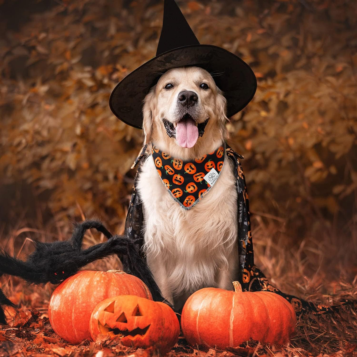 E-Clover Halloween Dog Bandanas & Matching Scrunchie Set Pumpkin Dog Scarf Kerchiefs Pet Outfit for Medium Large Dogs Owner Mom Orange Black Fall