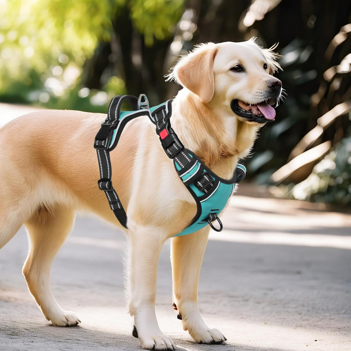 Timos Dog Harness,NO Need Go Over Dogs Head 3 Snap Buckles Pet Harness with 2 Leash Clips,Adjustable Soft Padded No-Pull,Reflective No-ChokeOxford Vest for Small Medium Large Dogs,X-Large (Pack of 1)