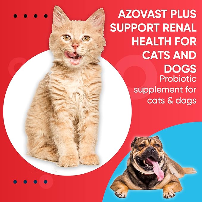 Azovast Plus Kidney Health Supplement for Dogs & Cats, 240ct - NO Refrigeration Required - Help Support Kidney Function & Manage Renal Toxins - Renal Care Supplement Capsule(U.S.A) (240 Caps)