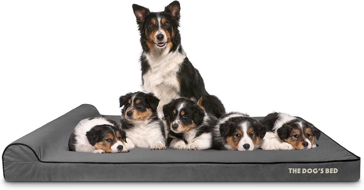 The Dog’s Bed Orthopedic Headrest Dog Bed XXXL Grey/Black 64x44, Memory Foam, Pain Relief for Arthritis, Hip & Elbow Dysplasia, Post Surgery, Lameness, Veterinary Approved, Waterproof Washable Cover