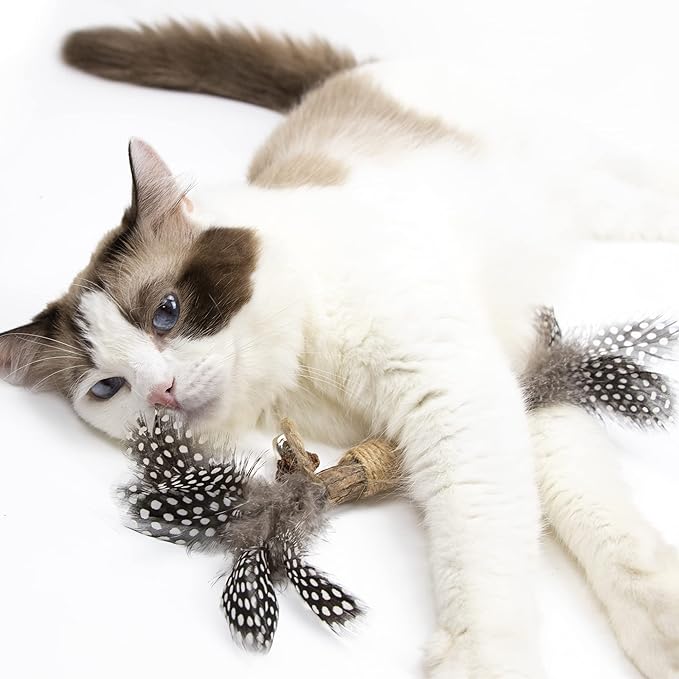 PAZ'S GIFT Catnip Toy Cat Toys Catnip Toy cat chew Toy cat Kicking silvervine Stick Teeth Cleaning Cute Kitten Teething Indoor Interactivecat Dental Care Matatabi (Feather 2pcs)