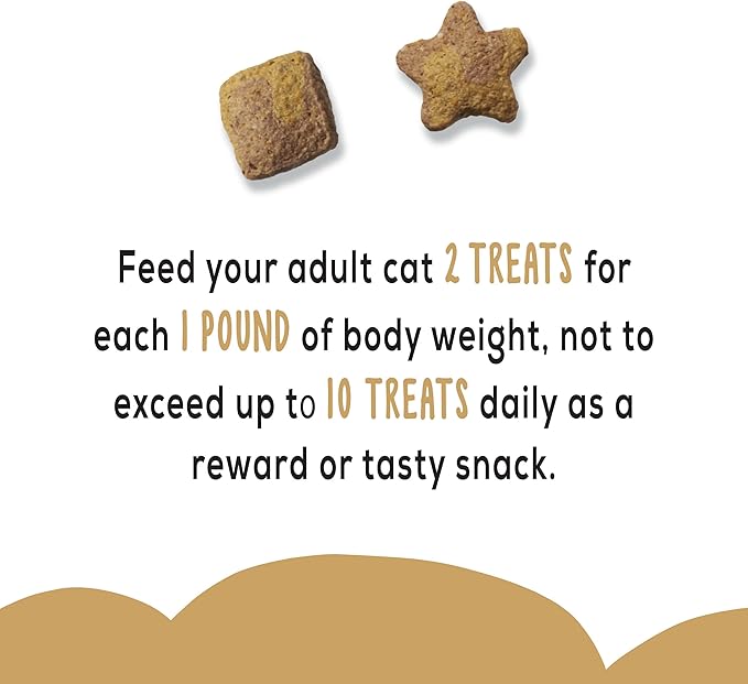 Purina Friskies Party Mix Cat Treats, Gravy-Licious Crunch with Chicken & Gravy Flavors, Crunchy Treats for Cats, 2.1 Ounce Resealable Pouch (Pack of 3)