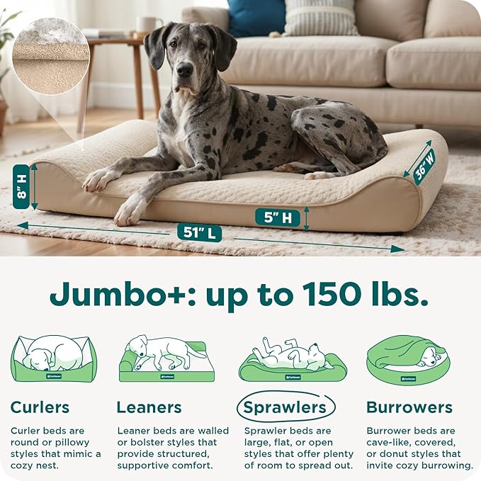 FurHaven Orthopedic Dog Bed for Large Dogs, Luxe Lounger Contour Mattress with Solid Orthopedic Foam Slab for Joint Support, Removable Washable Cover - Jumbo Plus XXL, Plush Suede, Cream