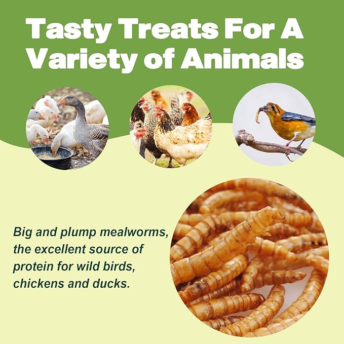 Dried Mealworms -11 LBS- 100% Natural Non GMO High Protein Mealworms - Bulk Mealworms for Wild Birds, Chicken Treats, Hamster Food, Gecko Food, Turtle Food, Lizard Food