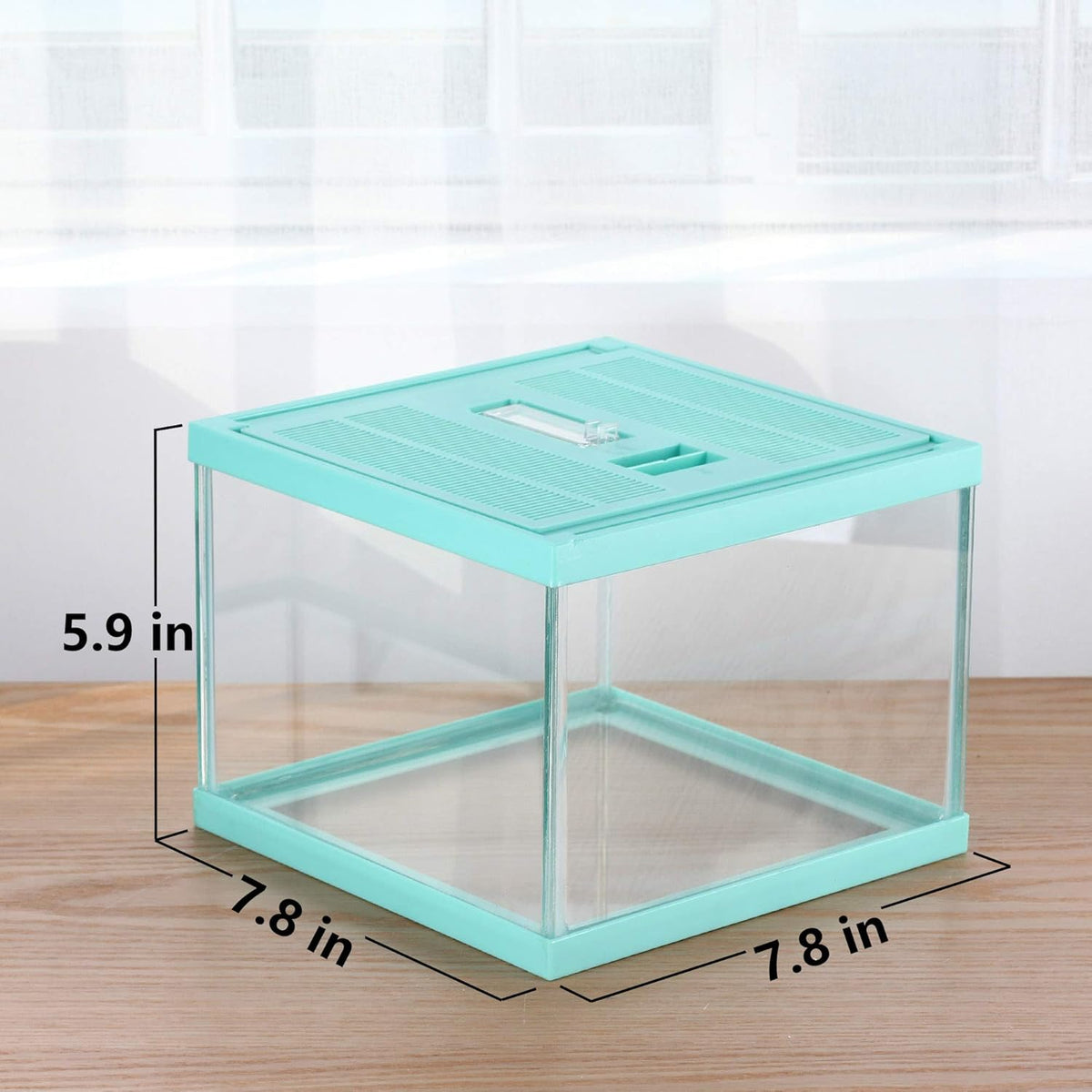 crapelles Reptile Terrarium Tank, Snail Jumping Spider Enclosure, Tarantula Insect Pet Box, Vivarium Tank for Hermit Crab Cricket Gecko Frog, Small Tortoise Habitat Cage (7.8x7.8x5.9 Inches) Green