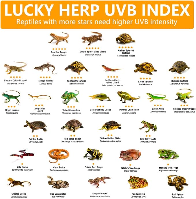 LUCKY HERP 100 Watt UVA UVB Full Spectrum Vapor Heat Lamp Bulb, Self-Ballasted UV Heat Lamp/Bulb/Light for Reptile and Amphibian, Sun Lamp for Bearded Dragon Lizard Turtle(Coated)