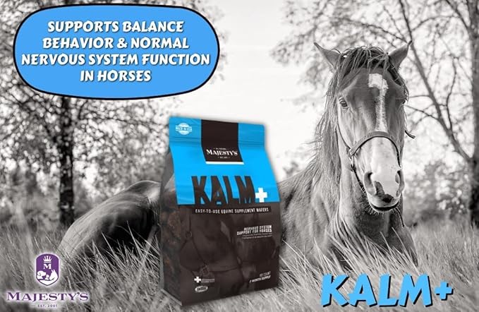 Majesty's Kalm+ Wafers - Superior Horse/Equine Calming Supplement (Peppermint, 2 Pack(120 Count Total))