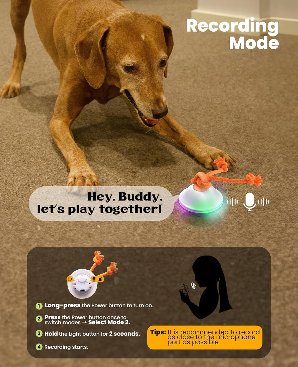 Interactive Dog Toys, Automatic Moving and Rolling LED Light Up Dogs Ball with Rope, Motion-Activated Wicked Ball for Small Medium Pup, Stimulation Toy for Boredom Relief