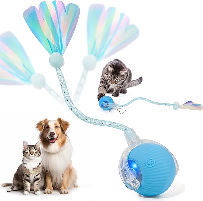 Interactive Cat Toys for Indoor Cats & Dogs, Agile Moving Cat Ball with Elastic Mesh Tail, Rechargeable Enrichment Toys, Smart Automatic Rolling Pet Ball Toys for Bored Indoor Dogs & Cats (Blue)