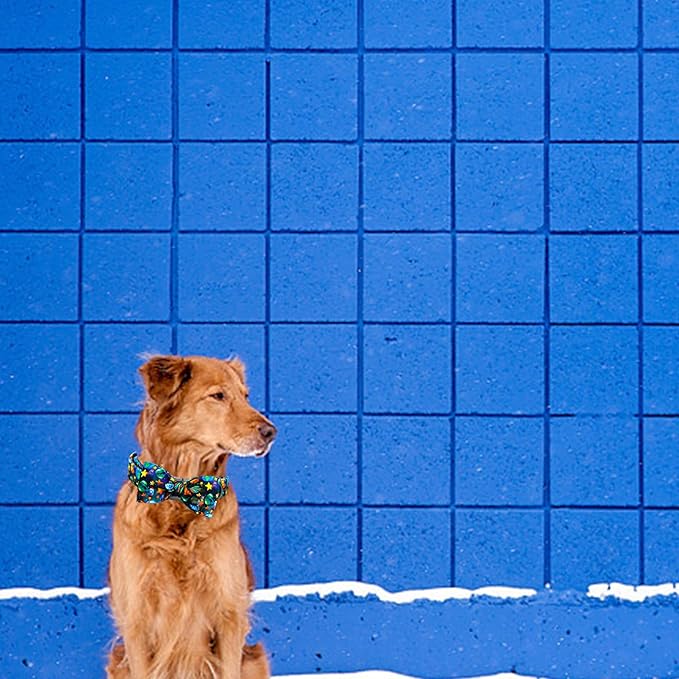 Elegant little tail Dog Collar, Boy Pet Collrs Blue Durable Soft Bowtie Dog Collar Adjustable Dog Collars for Small Medium Large Dogs