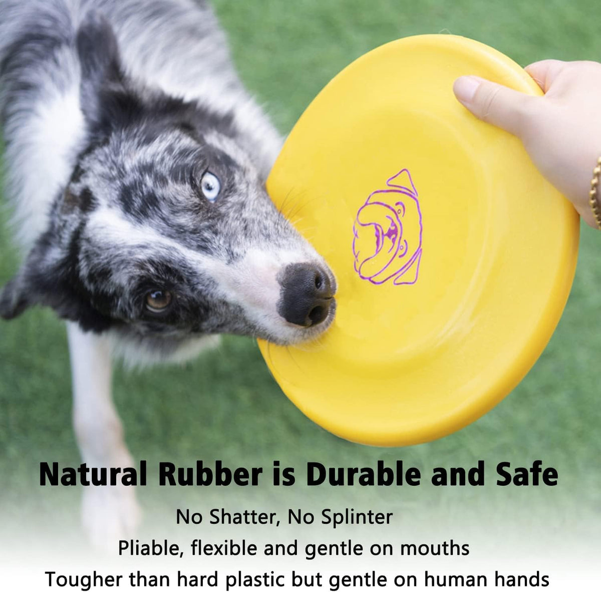 Dog Flying Disc, 3 Pcs Competition Dog Flyer Toy, Soft Indestructible Rubber Lightweight Flying Discs Toy for Dogs - Floats On Water, Gentle On Teeth and Gums