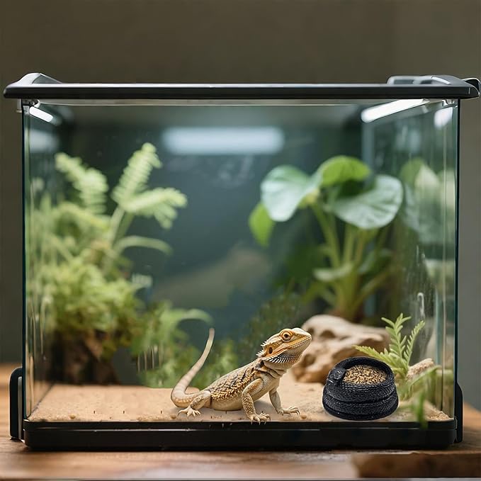 Snake-Shaped Reptile Water Dish & Food Bowl - Small Resin Terrarium Bowl for Bearded Dragon, Leopard Gecko, Hermit Crab, Tortoise, Frog, Lizard, Snake Habitat Tank Accessories