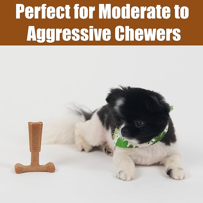 SPOT Bam-Bones Plus T-Bone, Bamboo Fiber & Nylon Dog Chew, Durable for Aggressive Chewers, Non-Splintering, for Adult Dogs & Teething Puppies Under 30lbs, 4in, Chicken Flavor