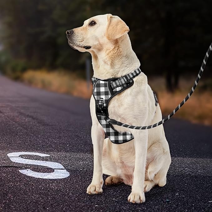 IVY&LANE No Pull Dog Harness with Leash Set, Reflective No Choke Pet Vest,Adjustable Oxford Dog Vest Harness with Easy Control Handle for Large Dogs (Checkered Black,XL)