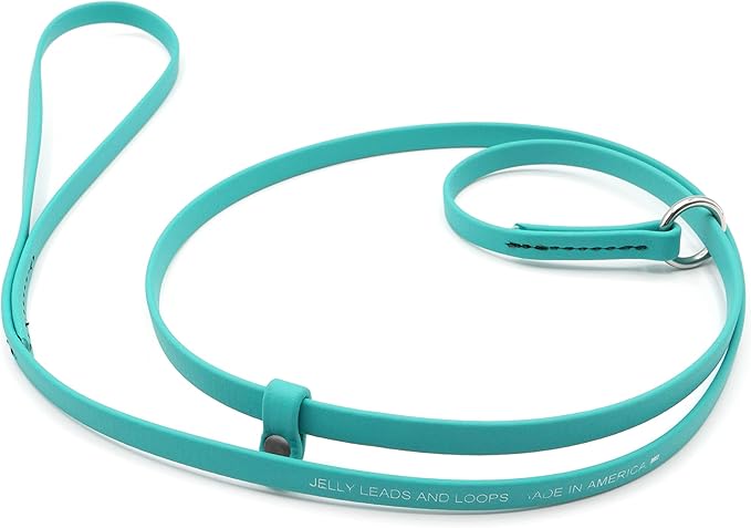 Jelly Pet Grooming Lead for Dogs | Great for Kennels, Veterinarians and Dog Grooming Salons | Biothane Leash - Easy to Clean, Waterproof & Durable Noose Loop | Made in USA | 3/8'' x 4'