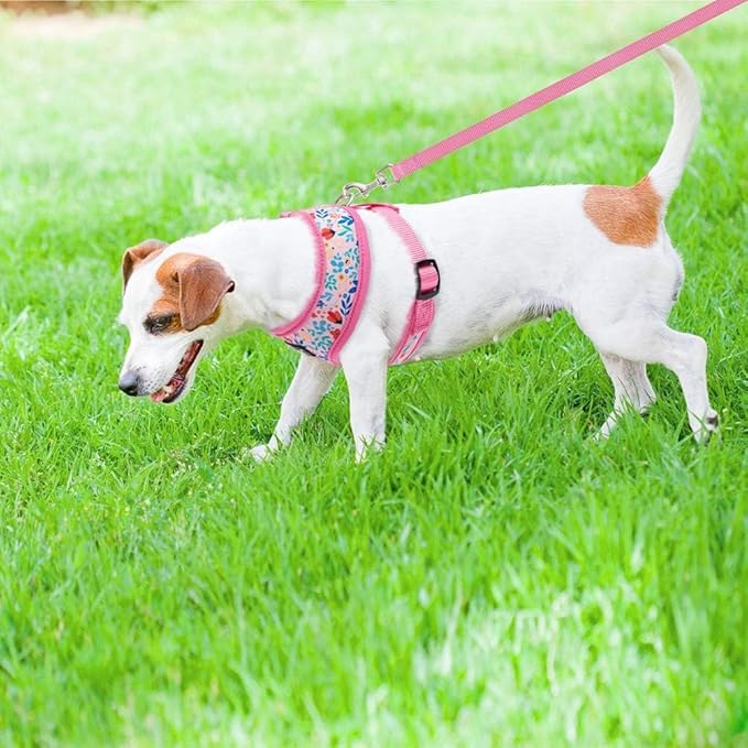 PUPTECK Soft Mesh Dog Harness and Leash Set Pet Puppy Cat Comfort Padded Vest No Pull Harnesses, Pink Floral, S