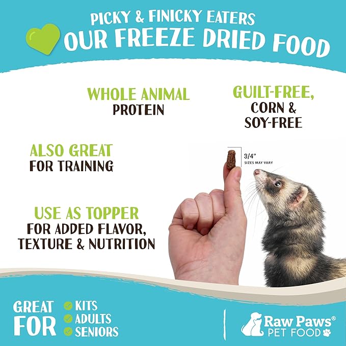 Raw Paws Freeze Dried Ferret Food - Chicken Recipe 16-oz - Made in USA - Grain Free Diet for Small, Adult, Senior & Baby Ferrets - Use as Treats for Rewarding & Training, Ferret Food Dry