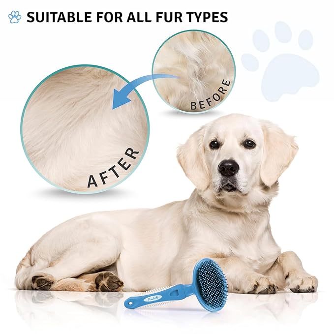 Round Bristle Pet Brush for Dogs and Cats - Soft Dog Brush for Grooming Short or Long Hair - Gentle Tool for Sensitive Skin Removes Dander, Dirt, and Detangles (Blue)