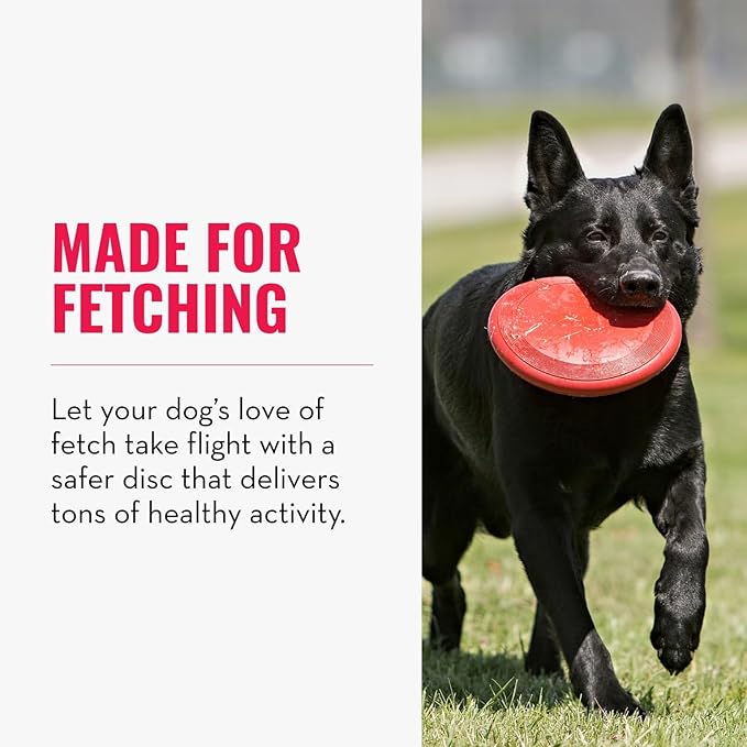 KONG Flyer - Durable Dog Toy for Outdoor Playtime - Natural Rubber Flying Disc, Dog Toy for Fetch - Safer Disc for Healthy Activity - for Medium/Large Dogs