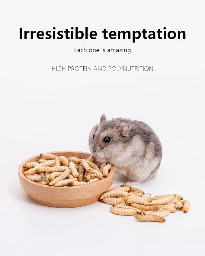 Niteangel Small Animal Snack & Treats - Small Critter Natural Treat for Dwarf Syrian Hamsters Gerbils Mice Sugar Glider Hedgehogs Chickens Birds (Freeze-Dried Worms- 0.9oz (25g))
