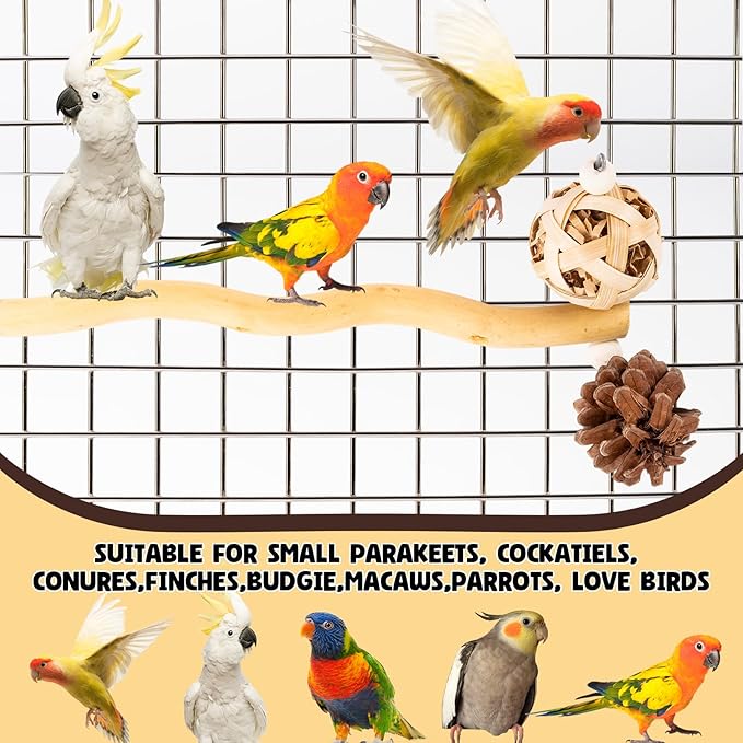 Bird Toys Perch Stand for Cage with Pine Cones, Natural Parrot Toys, Small Chewing Sticks Toys Bird Cage Accessories for Conures Parakeets Cockatoo African Grey Parrots (1PCS)