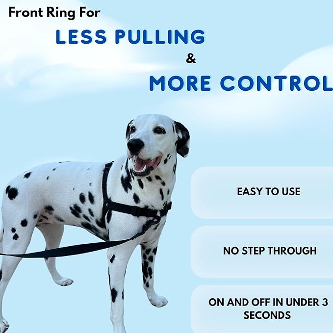 ShawnCo Dream Walk No-Pull Dog Harness- Adjustable, Comfortable, Easy to Use Pet Halter to Help Stop Pulling for Small, Medium and Large Dogs (Driftwood, S)