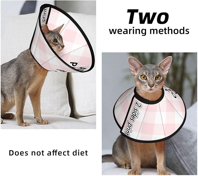 Custom Cat Cone Collar Soft Post-Surgery Comfort Pet Recovery Collar for Spay Safety Elizabethan Collar