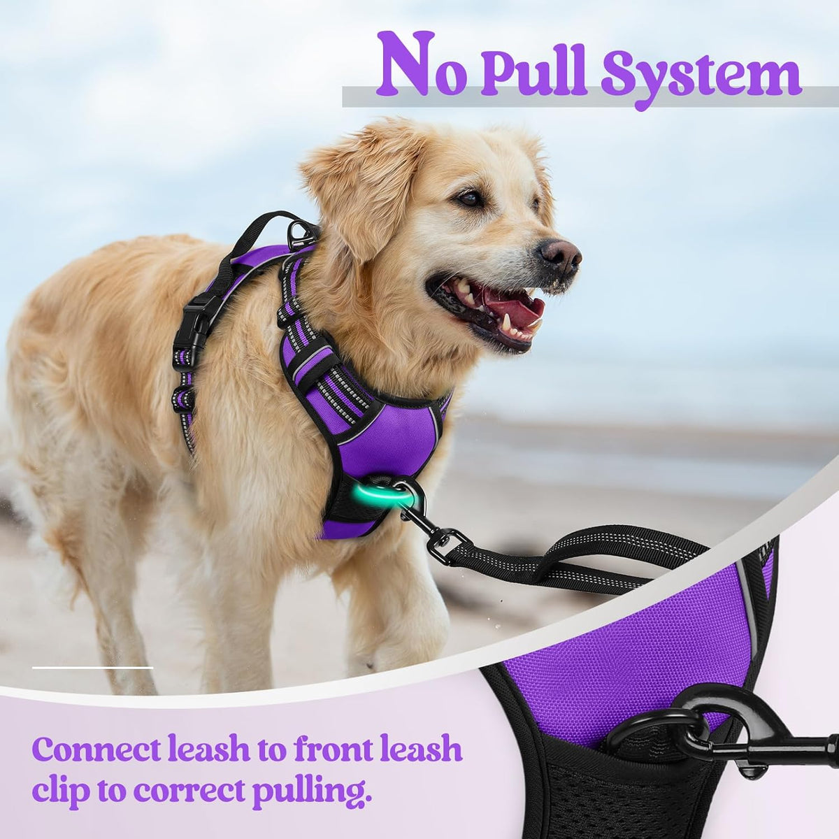 rabbitgoo Dog Harness, No-Pull Pet Harness with 2 Leash Clips, Adjustable Soft Padded Dog Vest, Reflective No-Choke Pet Oxford Vest with Easy Control Handle for Large Dogs, Purple, L