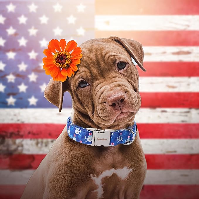 Unique style paws Independence Day Dog Collar Metal Buckle Hat Shark Collar Gift Durable Cute Collar for Small Medium Large Boys Girls Dogs