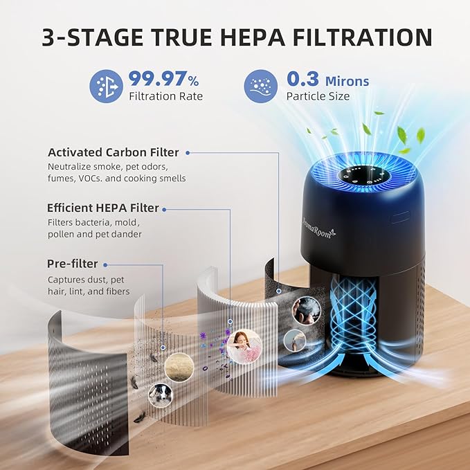 Air Purifiers for Home Bedroom, AromaRoom H13 HEPA Air Purifier Filter for Allergies, Pollen, Smoke, Dusts, Pets Dander, Odor, Hair, 22dB Quiet Air Cleaner for Room, Office, Dorm, AP100-B (Black)