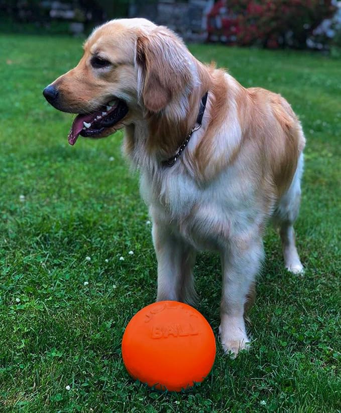 Jolly Pets Bounce-n-Play Dog Toy Ball, 8 Inches/Large, Orange, (Model: 2508 OR)