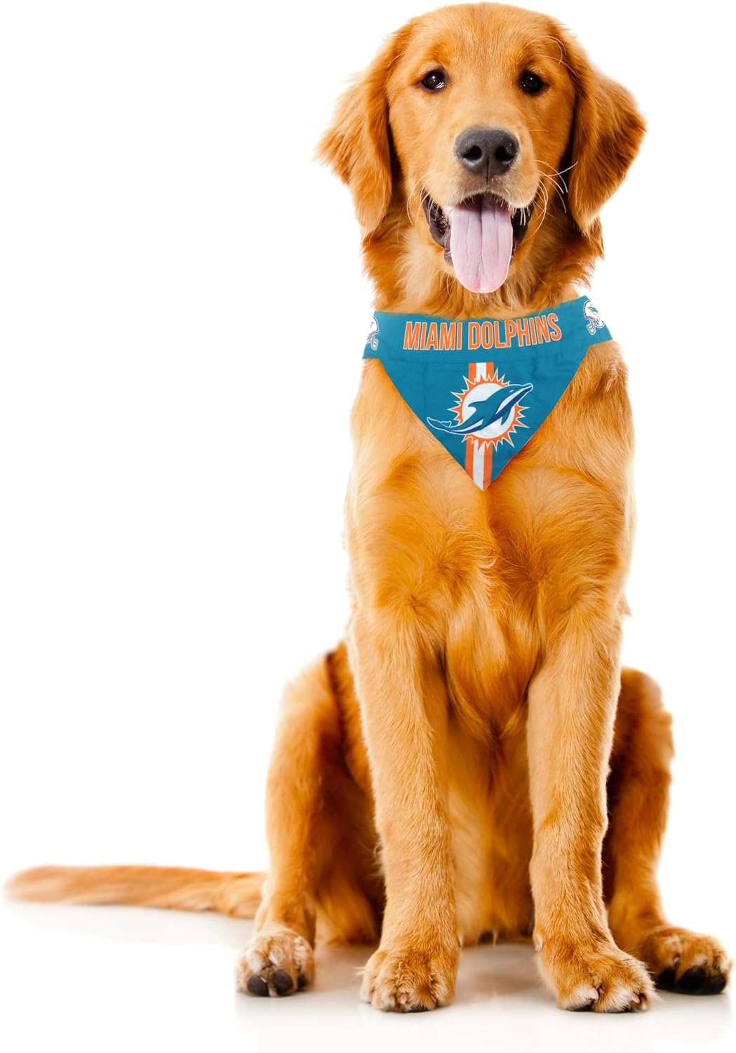 Littlearth NFL Pet Bandana - Reversible