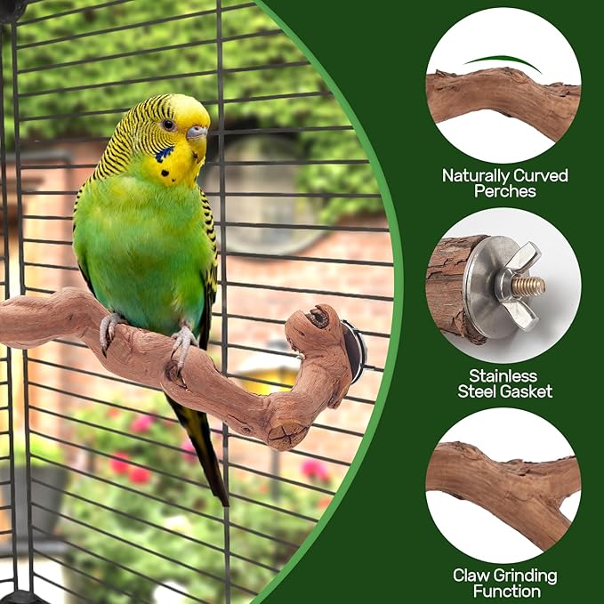 6-Piece Premium Bird Perch Stand with Natural Grape Wood Branch, Paw Grinding Fork, Chewing Stick, Cage Accessories for Parakeets, Budgies, Cockatiels, Finches, Lovebirds