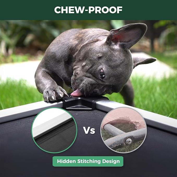 FXW TitanNest Chew-Proof Elevated Dog Bed, Raised Cot for Indoor/Outdoor/Camping Use, Durable & Waterproof Cooling Pet Bed for Medium Dogs, 41.0" L x 27.0" W x 5.0" H, Black