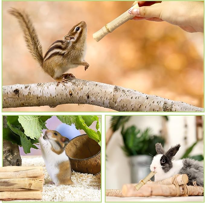 2lb Natural Sweet Bamboo Chew Toys for Small Pets - Organic Molar Sticks with Xylose & Vitamins for Rabbit, Guinea Pig, Hamster - Dental Care & Chewing Entertainment