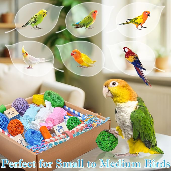 Colorful Bird Foraging & Shredding Toys Box – Safe Bird Toys for Parakeets, Cockatiels, Conures & Small Birds, Perfect for Spring and Summer