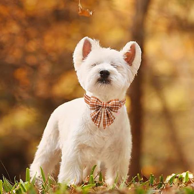 Fall Plaid Dog Collar and Bow Tie Set – Brown Orange Checkered Adjustable Collar with Maple Leaf Charm for Small Medium Large Dogs, Soft Cotton Puppy Collar with Quick Release Buckle