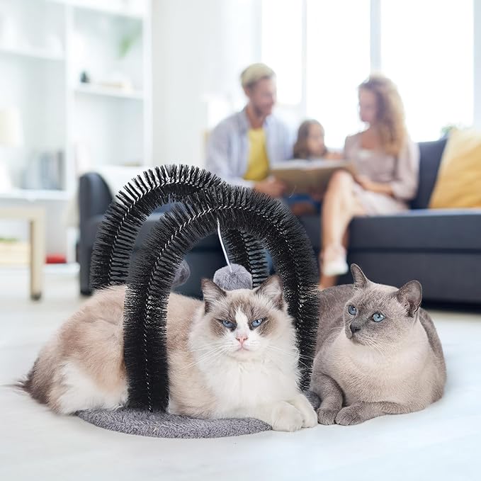 Cat Arch Self Groomer Massager, Kitty Grooming Brush with 2 Brushes and Heavy Plush Base, Cat Face and Back Scratchers, Scratching Post for Indoor and Outdoor Cats with 2 Plush Balls