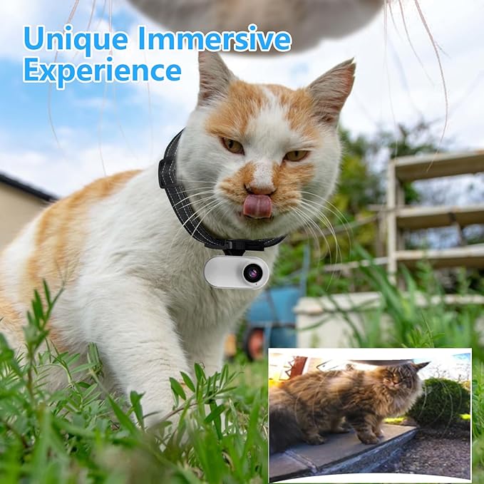 ehomful HD 1080P Cat Camera Collar with Video Record Wireless Mini Sport cam,Small Action Cameras,Body Camera for Pet Supplies/Stuff,Outdoor/Inoor Birthday Gift No WiFi
