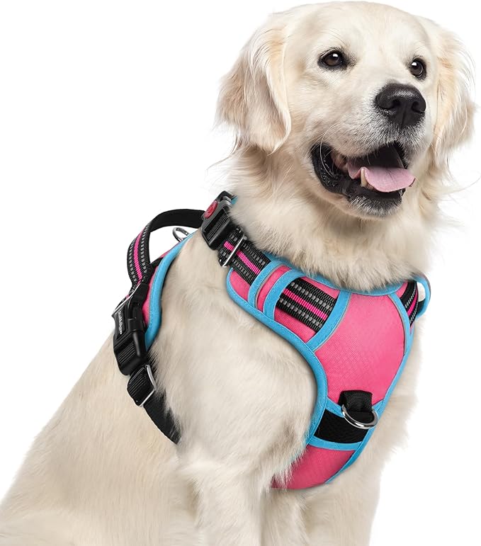rabbitgoo Dog Harness for Large Dogs, No Pull Pet Vest with 3 Buckles, Adjustable Soft Padded Pet Harness with Easy Control Handle and Reflective Strips, Rose Pink & Blue, XL