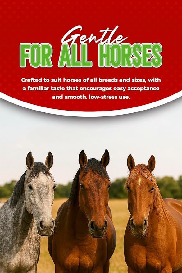 Ivermectin Horse Paste 1.87% – Apple Flavored – 6.08g Tube – for Horses Up to 1250 lb - 1 Pack