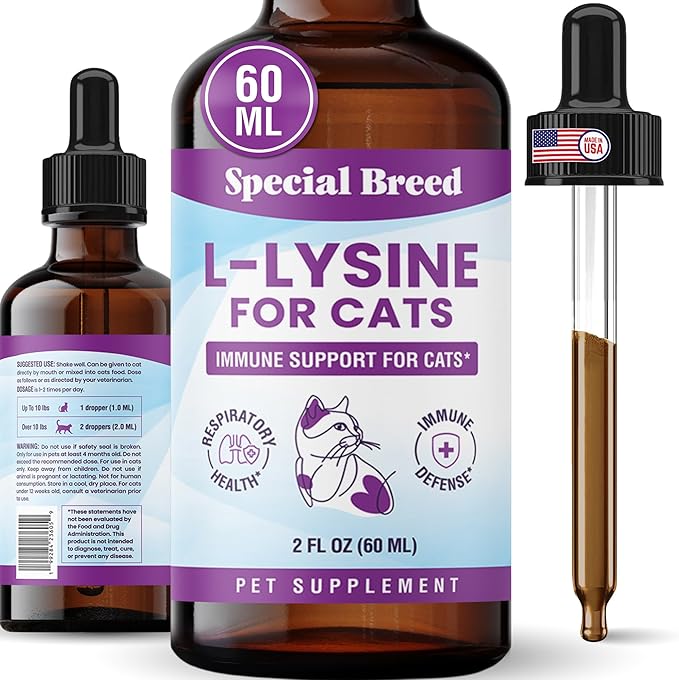 Special Breed L-Lysine for Cats & Kittens – Immune, Respiratory & Eye Health Support – Liquid Cat Supplement with Astragalus, Burdock, Atractylodes, Dangshen & Vitamins A, B1, B2, B6 – 2oz (60mL)