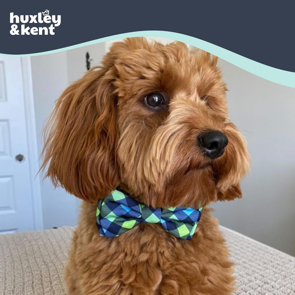 Huxley & Kent Pet Bow Tie for Dogs & Cats - Adjustable Hook & Loop Collar Accessory - Cute & Comfortable for Holidays & Celebrations - Navy Check, Extra-Large