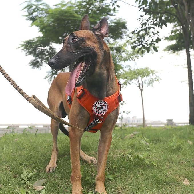 ICEFANG Tactical Dog Harness, X-Large Size,2X Metal Buckle,Working Dog MOLLE Vest with Handle,No Pulling Front Leash Clip,Hook and Loop Panel (Orange,XL (Pack of 1))