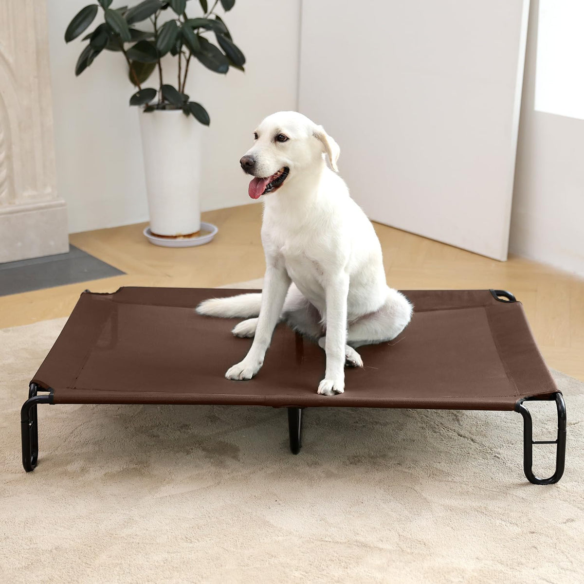 pettycare Elevated Outdoor Dog Bed - Cots Beds for Large Dogs XL, Waterproof Raised Cot Easy to Assemble, Cooling with Teslin Mesh, Durable, Non Slip, Up to 85 lbs, Brown
