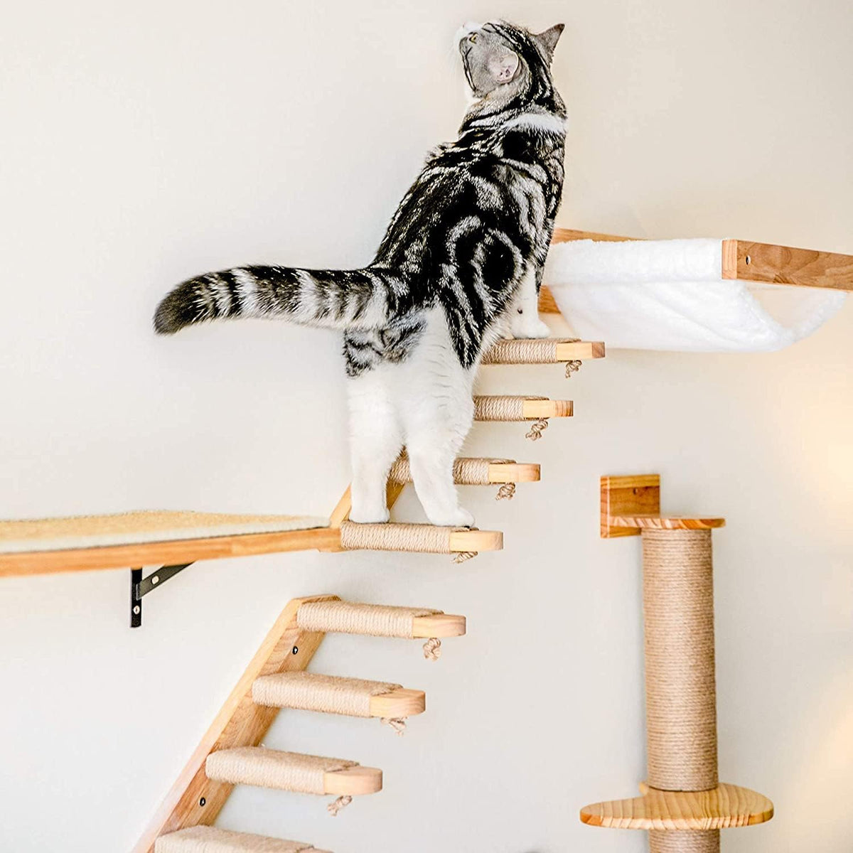FUKUMARU Cat Hammock Wall Mounted, Kitty Beds and Perches, Wooden Cats Furniture, Stable Wall Shelves for Sleeping, Playing, Climbing, and Lounging